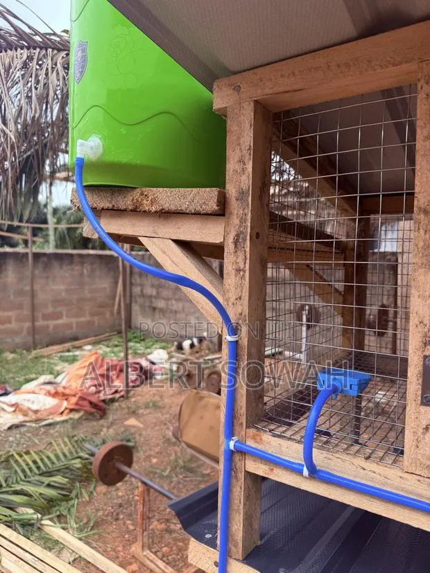 15 Rooms Modern Wooden Rabbit and Grasscutter Cage · Photo 4
