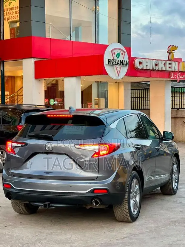 Acura RDX Advance Pkg AWD 2019 Gray · Photo 1