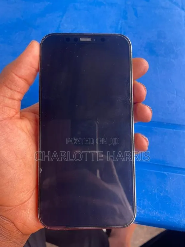 Apple iPhone 12 Pro 256 GB Graphite · Photo 1