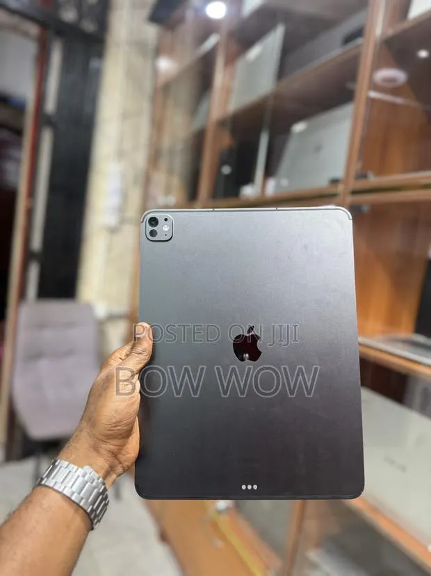 Apple iPad Pro 13 (2024) 256 GB Gray · Photo 1