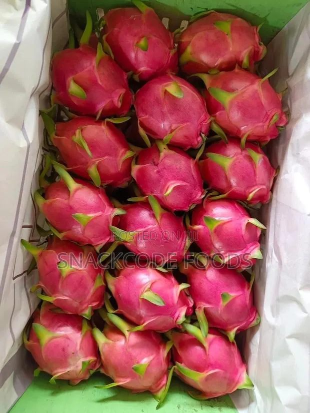 Dragon Fruit · Photo 1