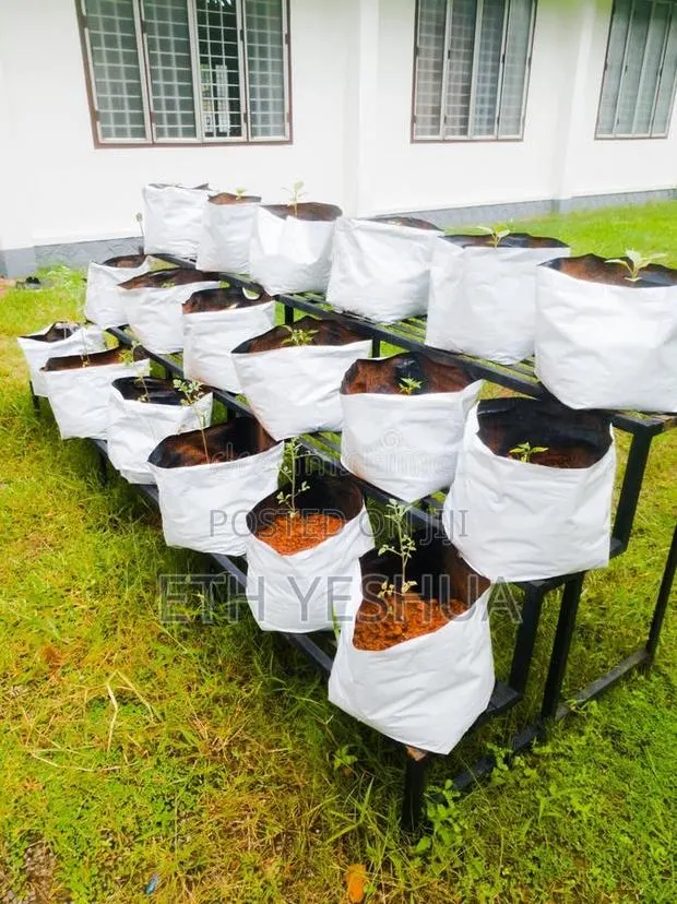 Grow Bags For Greenhouse And Garden · Photo 1