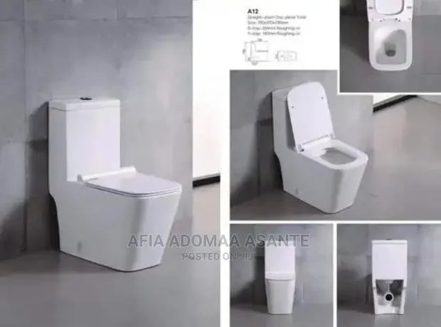 High Quality and Stylish Water Closet