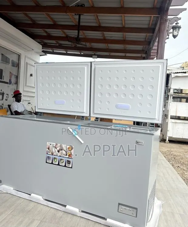 Exceptional Durable Pearl PCF-6040-1A 508L Freezer(Grey) · Photo 1