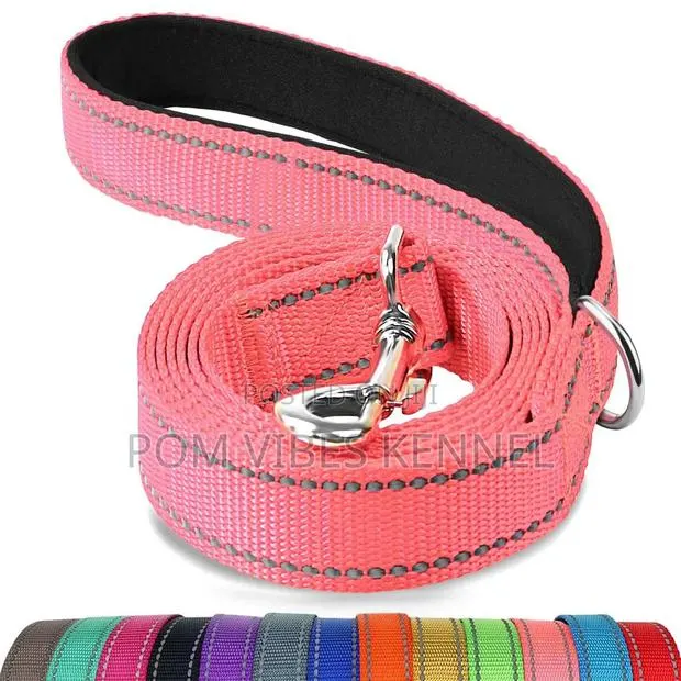 Bright Pink Reflective Dog Leash · Photo 1