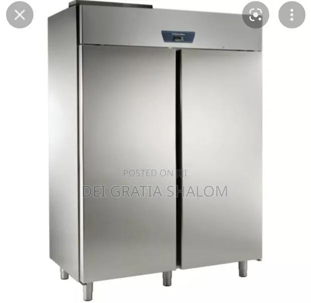 Tecno Freeze Italian Industrial Freezer