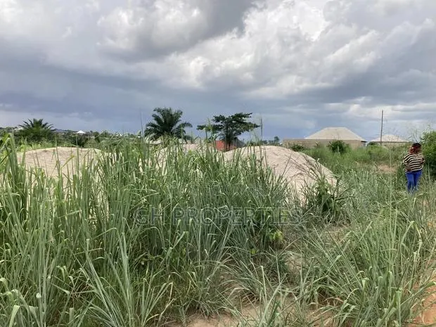 Two Plots for Sale at Trede Area. · Photo 1