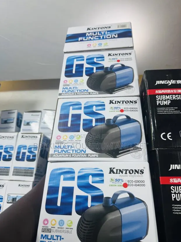 30 Watts Kingston Submersible Pump · Photo 1