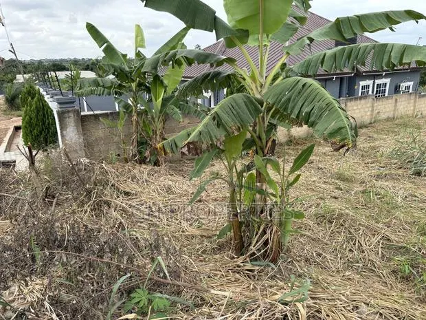 Half Plot for Sale at Aboabo,Sokoban Road. · Photo 1