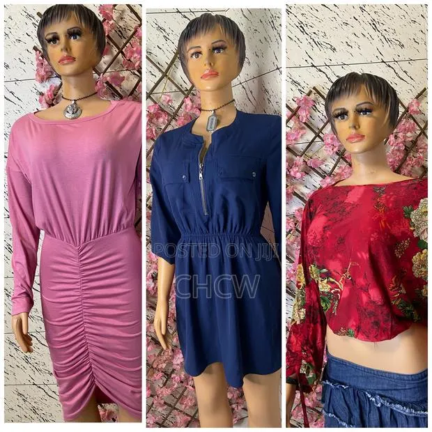 Two Pieces of Beautiful Ladies Dress a Red Ladies Top (A Package )