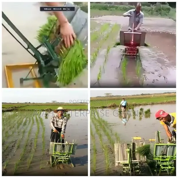 Hand Push Rice Transporter (2rows) · Photo 1
