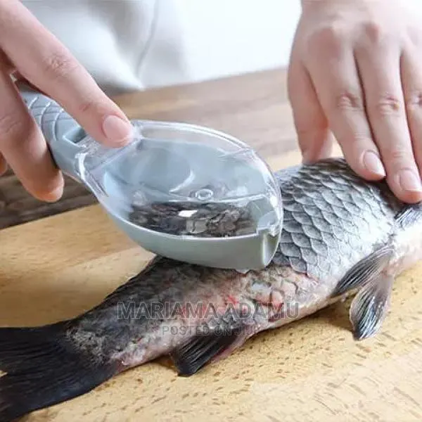 Fish Poachers · Photo 1