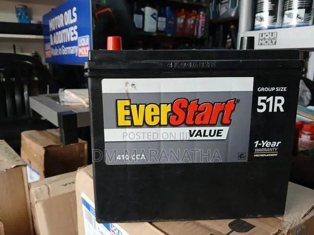 Everstart American Car Battery · Photo 1