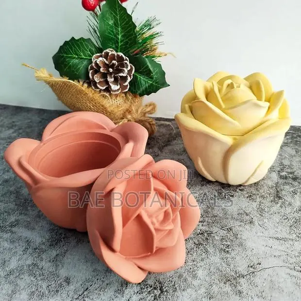 Gypsum Mold of Rose Shaped Jar With Lid · Photo 1