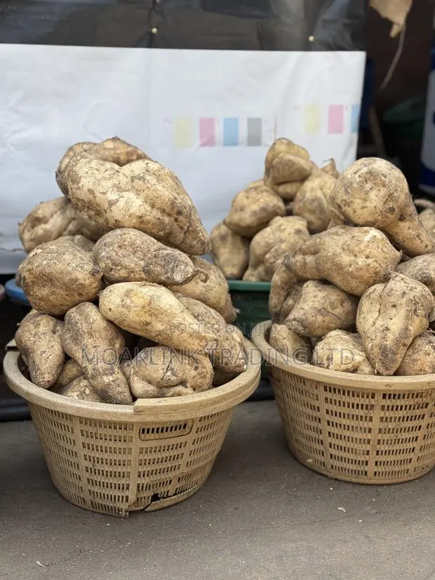 Sweet Potato · Photo 1