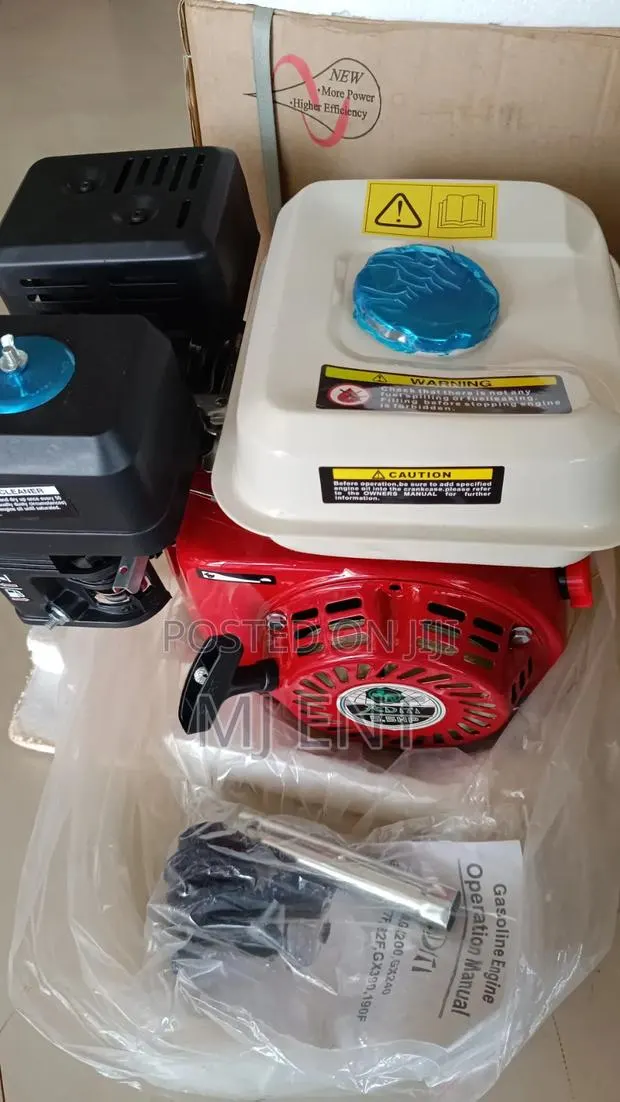 Aditi Gx 160 Gasoline Petrol Fufu Engine · Photo 1