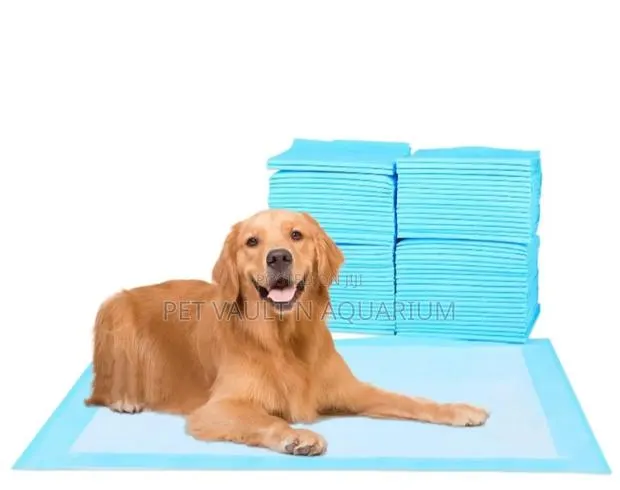 Pee Pads for Dogs/Cats Small Size · Photo 1