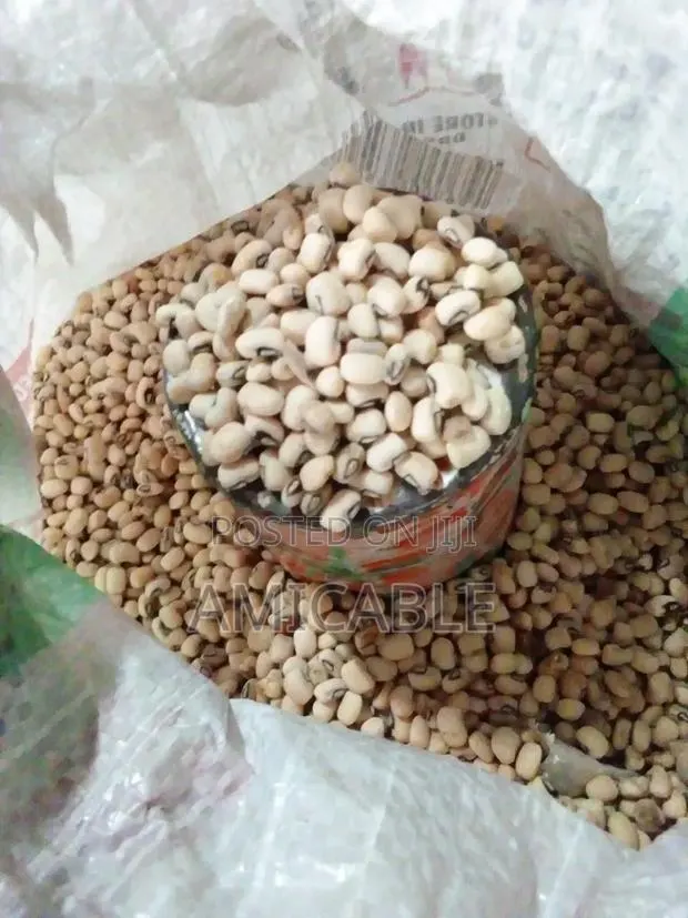 Nijel Beans · Photo 1