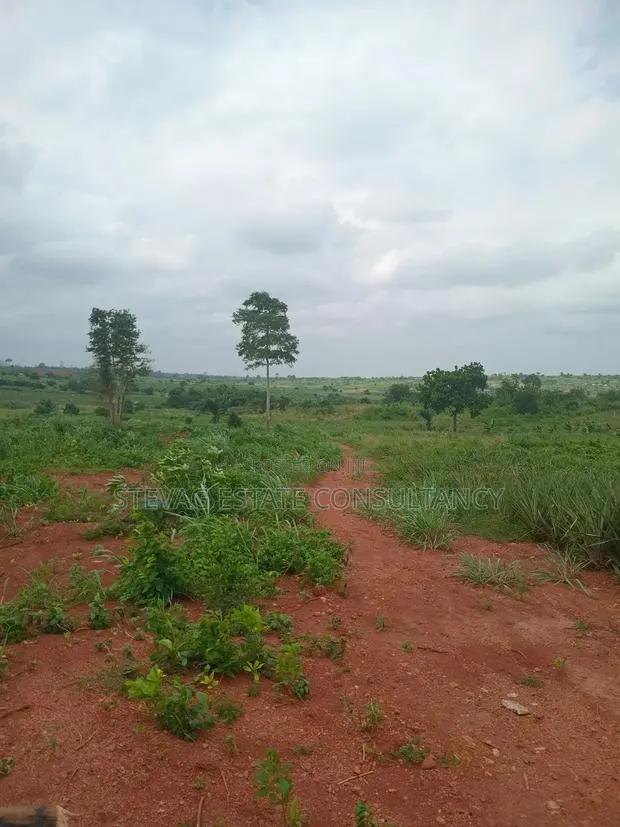 Alpha Estate Land for Sale Kweikrom · Photo 7