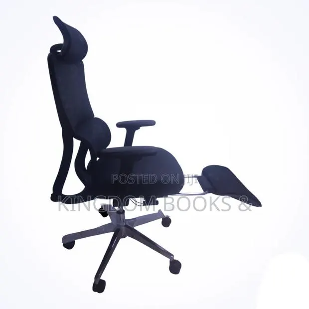 Ergonomic Mesh Swivel Office Chair With Retractable Footrest · Photo 1