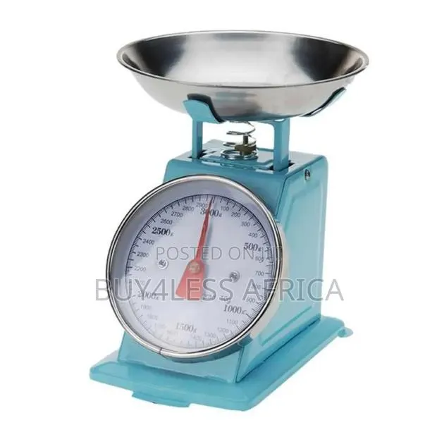Spring Platform Weighing Scale | Cold Store Scale · Photo 1