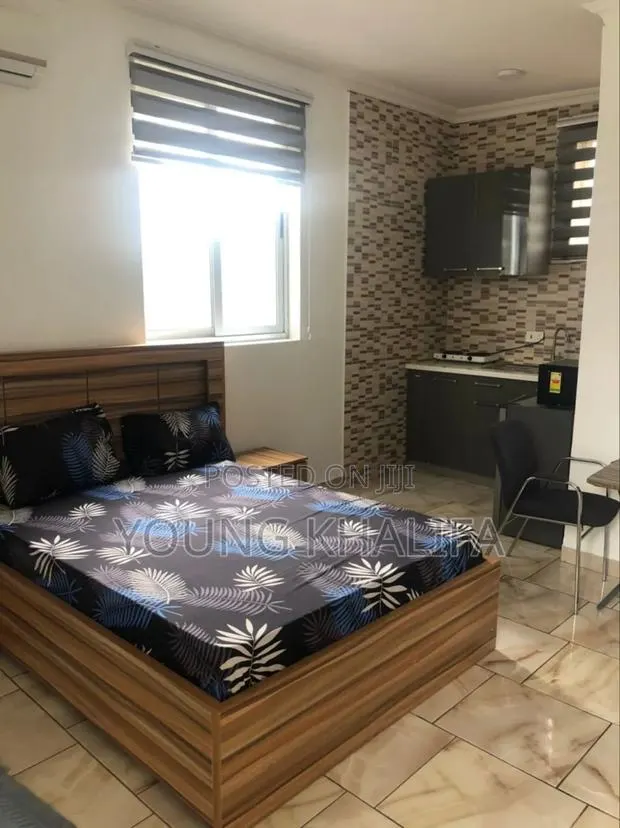 Furnished 1bdrm Apartment in East Airport Tsaddo for rent · Photo 1