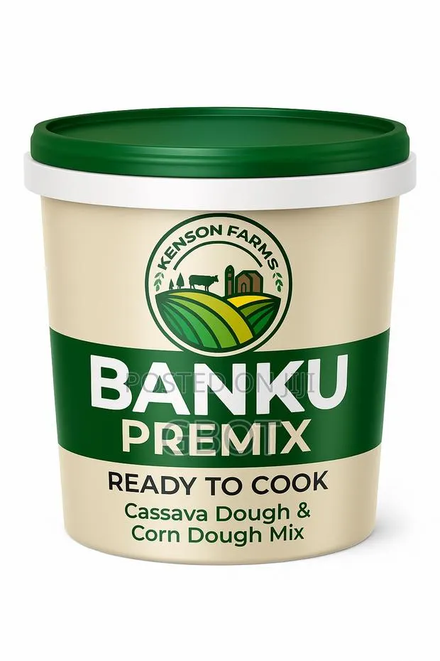 Kenson Banku Premix · Photo 1