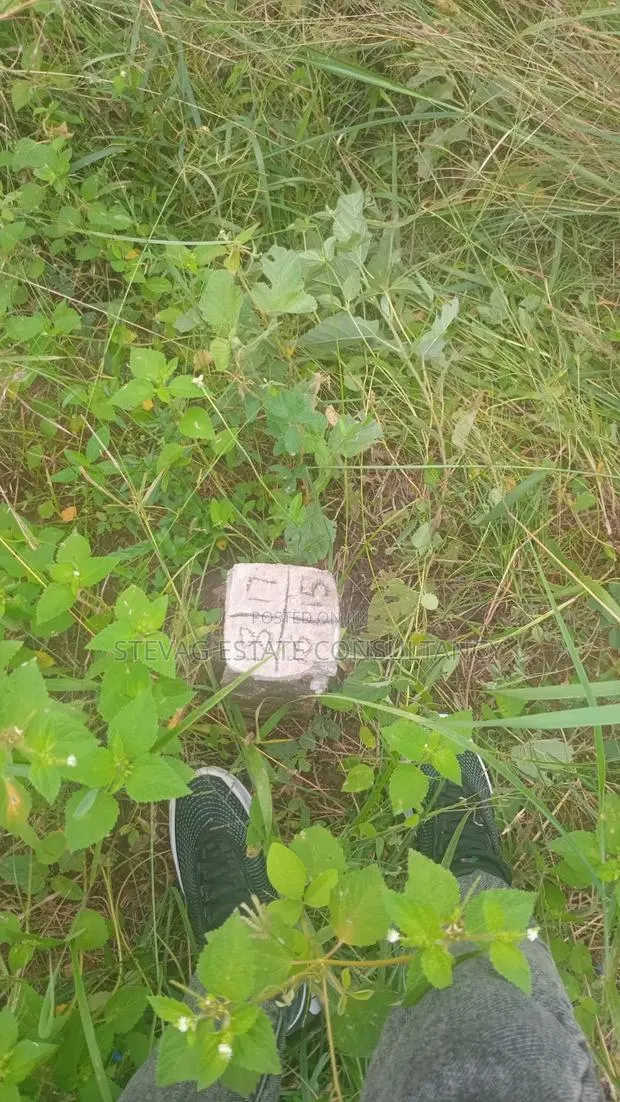 Genuine Land for Sale at Nsawam Otukwadzo · Photo 1
