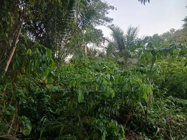 8 Acres of Land for Sale · Photo 1