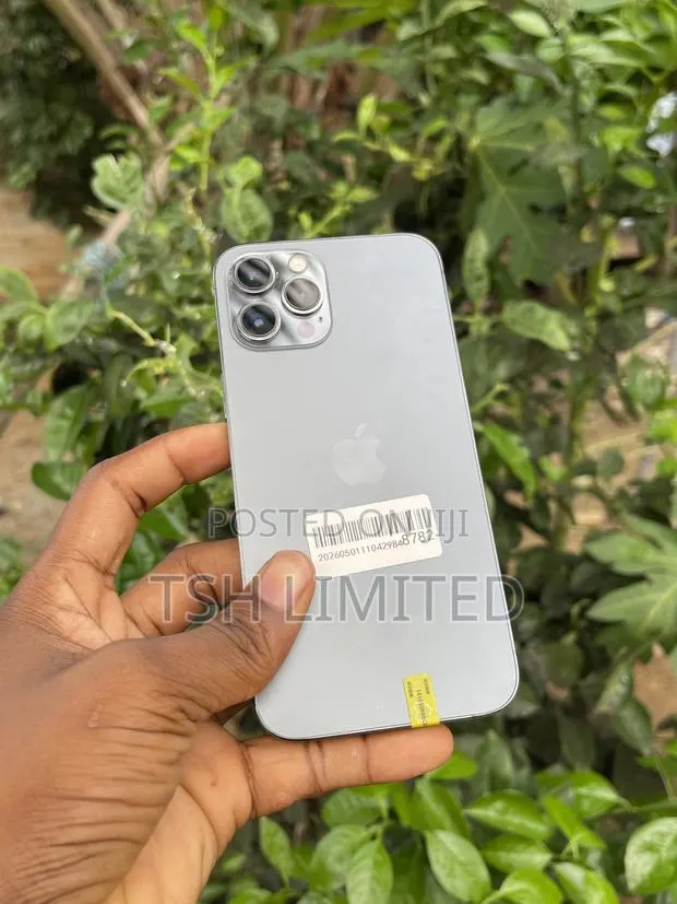 Apple iPhone 12 Pro Max 256 GB Gray · Photo 1