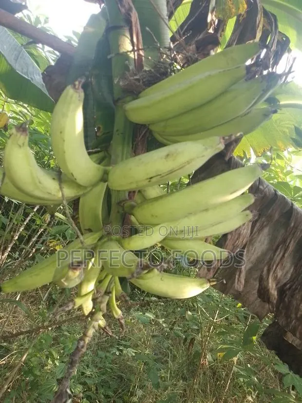 Village Fresh Plantain · Photo 1