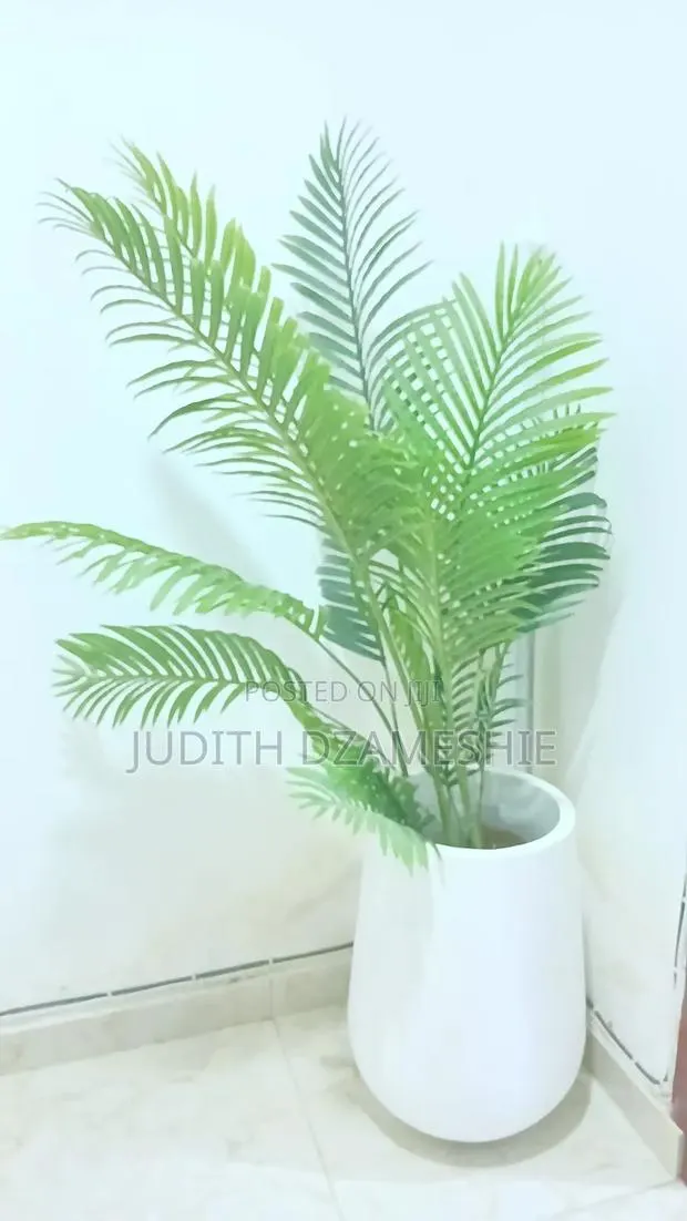 Flower and Flower Pot · Photo 1
