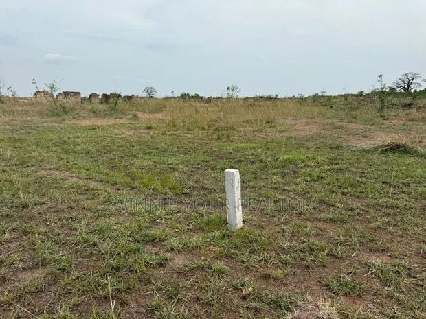 Fully Titled Land Just 7 Minutes From Ayikuma Police Station · Photo 1