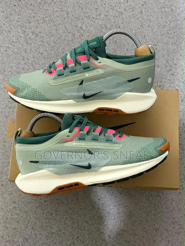 Nike ReactX Pegasus Trail 5 Gore-Tex · Photo 1