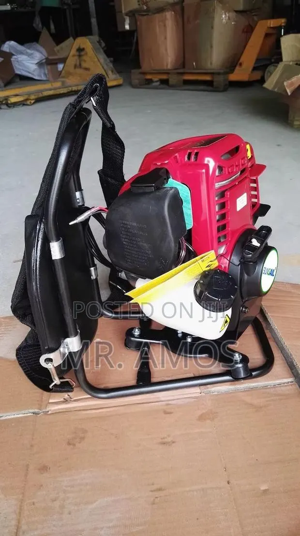 42CC 4 Stroke BackPack Gasoline Grass Trimme - Wgm2a30 · Photo 1