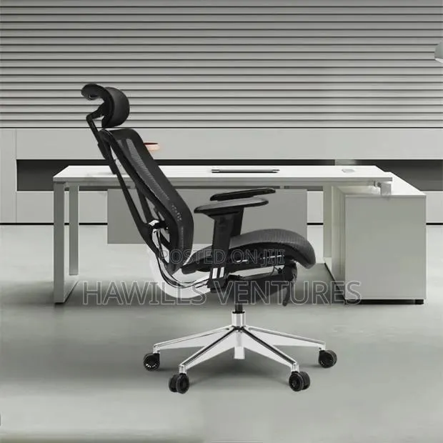 Ergonomic Office Chair · Photo 1