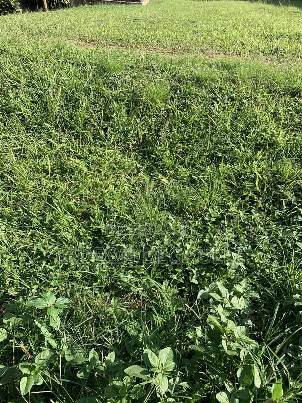 RANS REAL ESTATE |18 Acres | Land for Sale · Photo 1