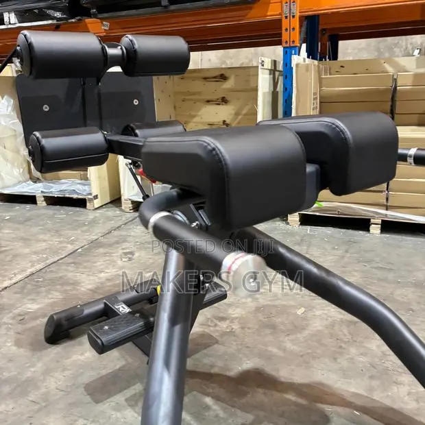 Roman Chair /Commercial Hyperextensions (Power Trainer) · Photo 1