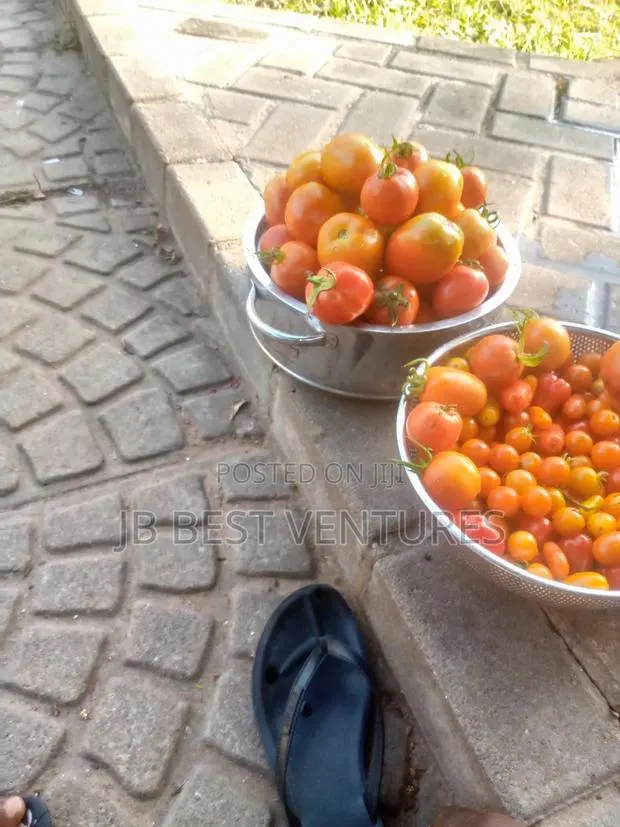 Fresh Tomatoes · Photo 1