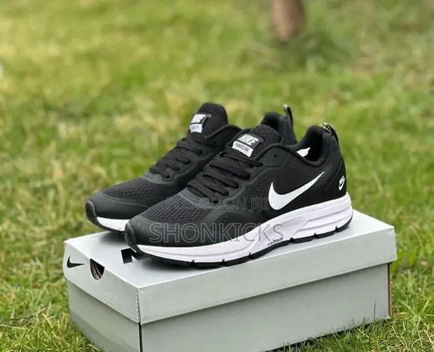 Nike Pegasus Sneakers · Photo 1