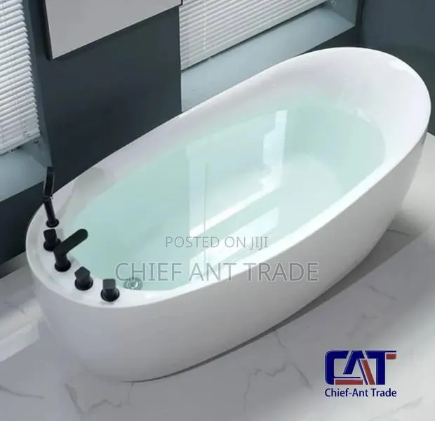 Bathtub With Shower and Regulators · Photo 1