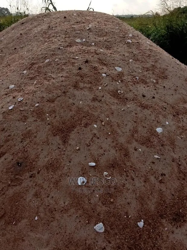 River Sand Supply · Photo 1