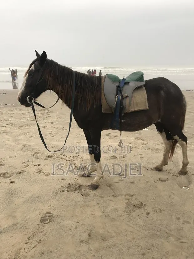Buy and Sell · Photo 1