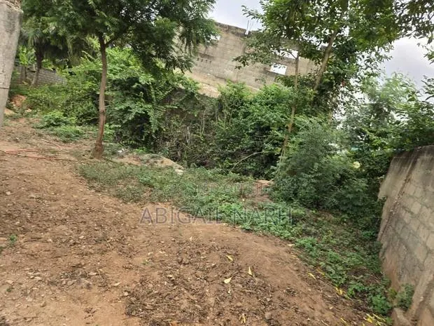Half Plot of Land (30 by 100)for Sale at Ablekuma · Photo 3