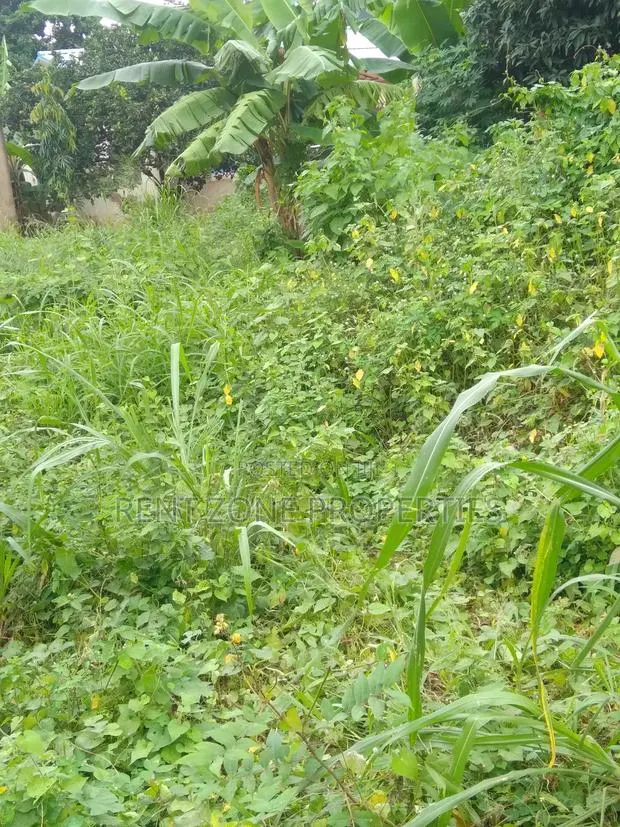 Land for Sale at Ofankor-Asofan · Photo 1