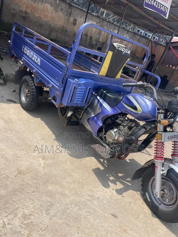 Luojia Clean Tricycle 2025 Blue