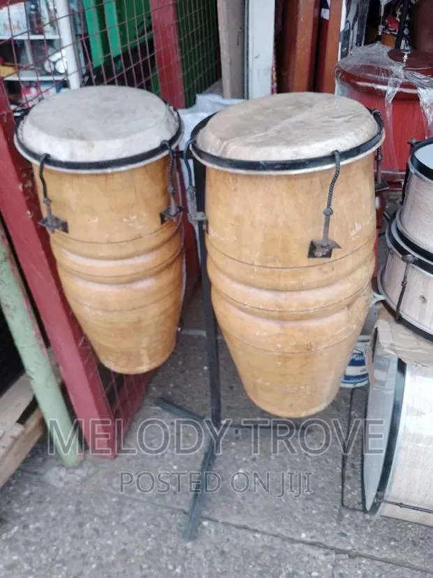 Conga Available for Sale · Photo 1