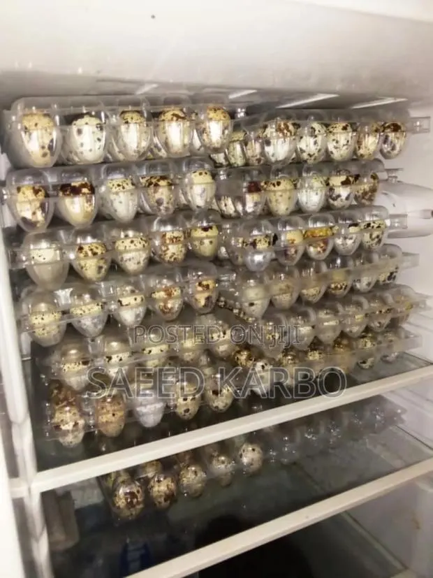 Quail Eggs · Photo 1