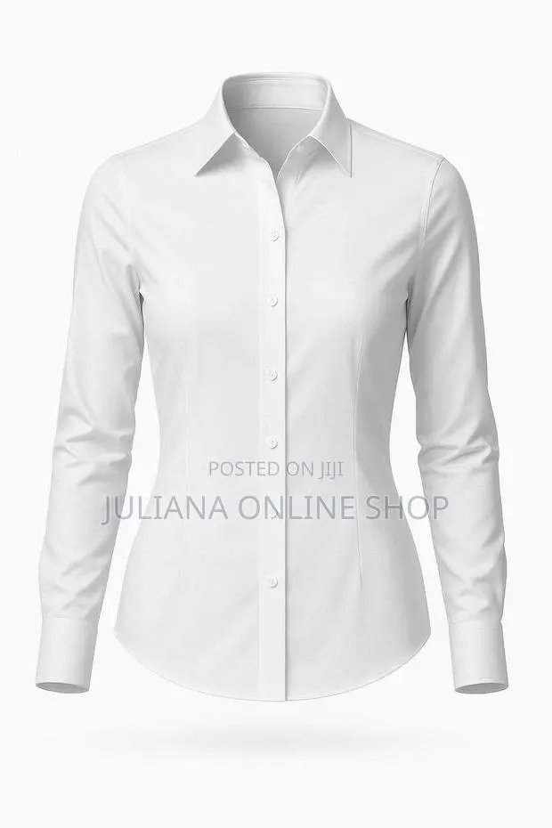 Ladies Office Shirts · Photo 1