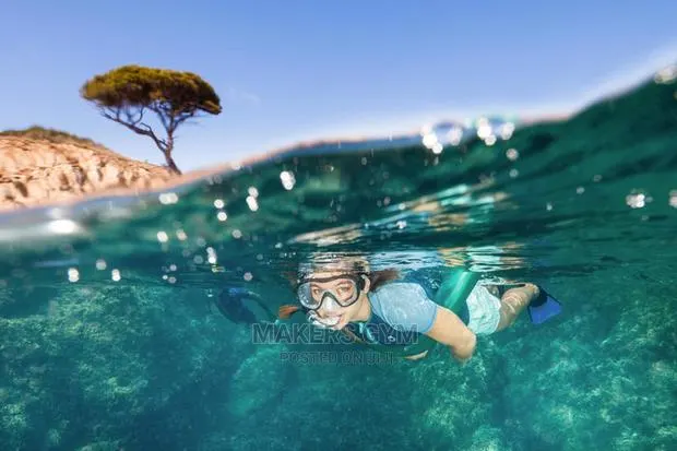 Adult’S Diving Snorkelling Fins Mask · Photo 1